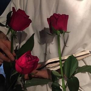 Meet your Posher, Hamin